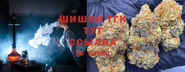 соль ск Лиски