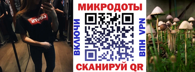Купить закладки  Муравленко  Галлюциногенные грибы мухоморы 
